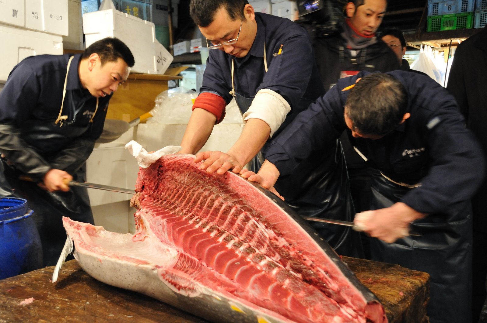 03 Tsukiji