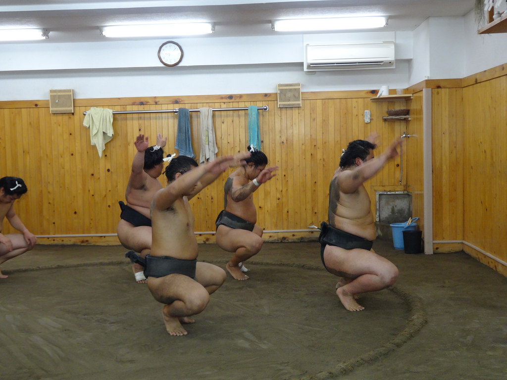 01 Sumo Arashio Stable