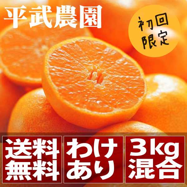 Arida Orange