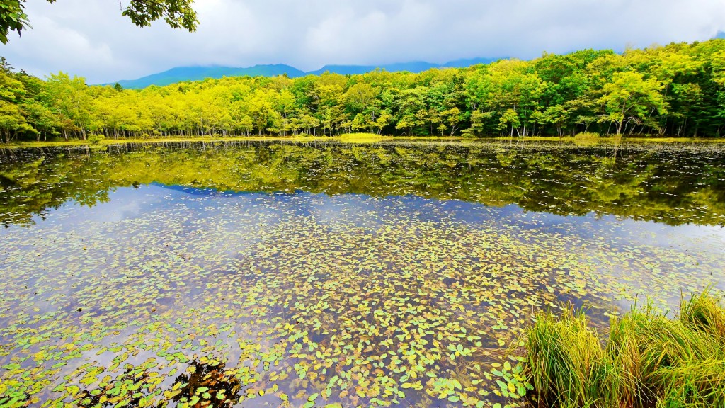 Shiretoko-National-Park-Shiretoko-Peninsula-northeastern-tip-of-the-island-of-Hokkaidō-Japan