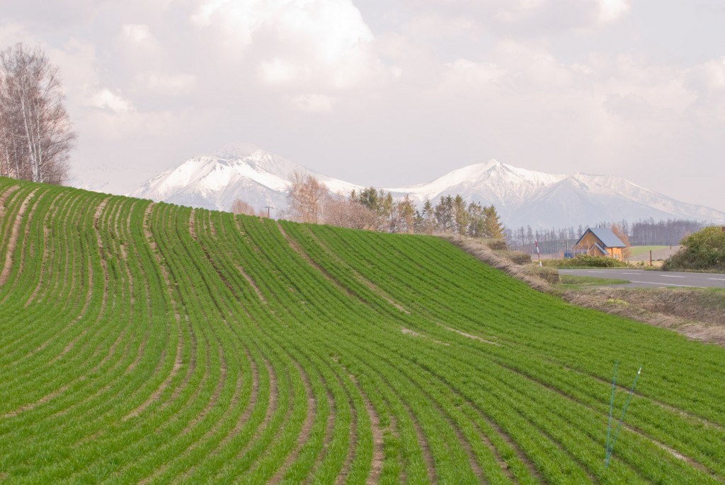 Hokkaido-samuraitour-04