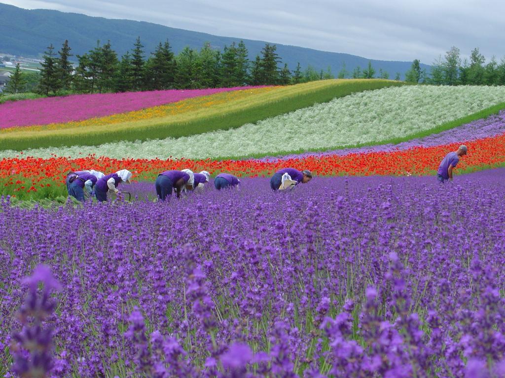 Hokkaido-samuraitour-02