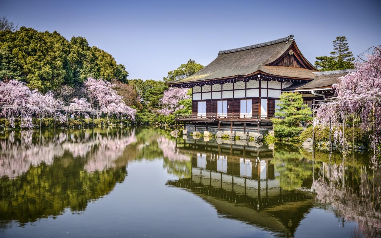 heian_shrine_kyoto_sakura_temple_garden_hd-wallpaper-1756831