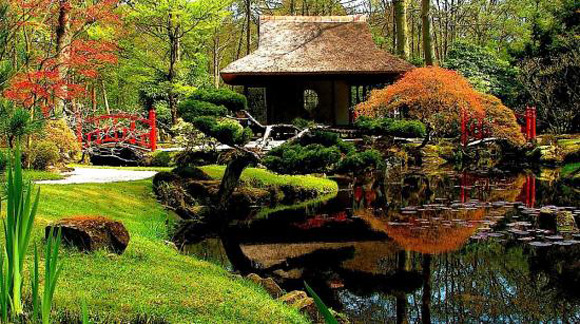 Backyard-Japanese-Garden-Design-Ideas