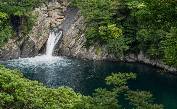 Yakushima 04