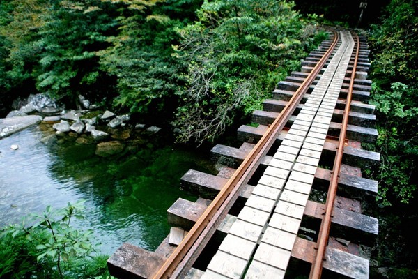 Yakushima 02