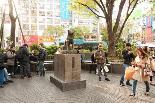 Hachiko