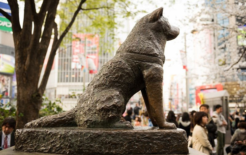 Hachiko