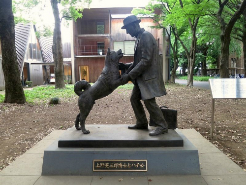 Hachiko