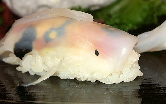 real-life-swimming-koi-sushi-15