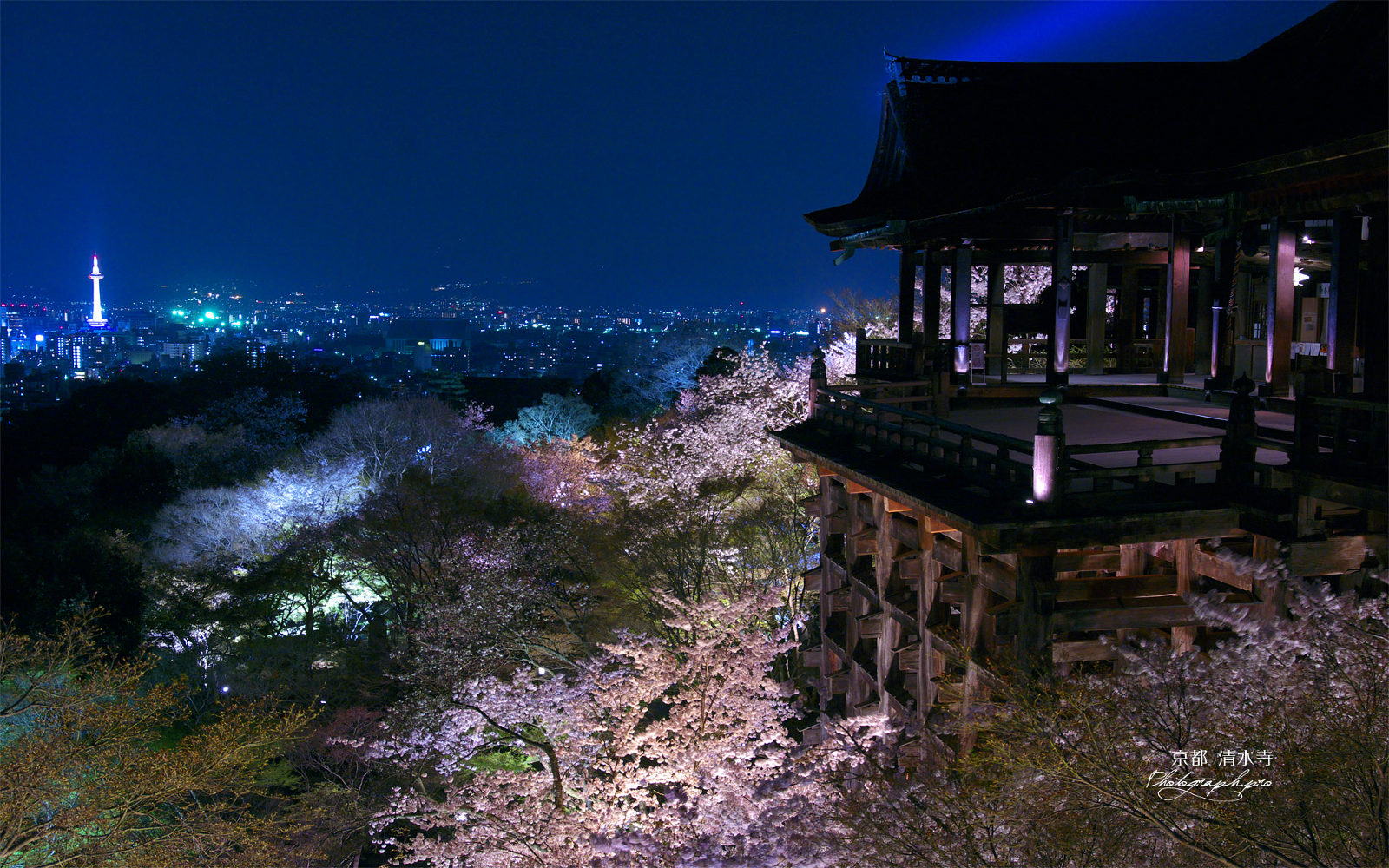 kiyomizudera_night_hanami_view