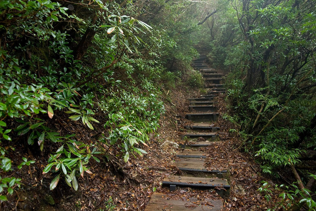 Yakushima