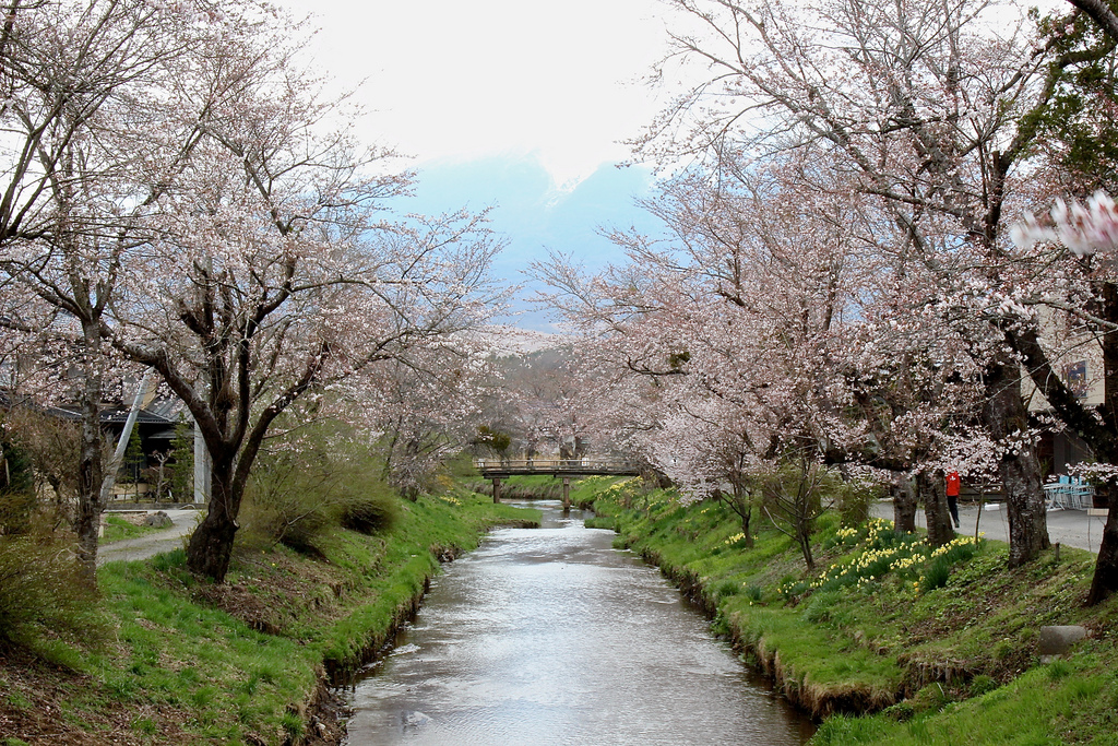 oshino_hakkai river spring