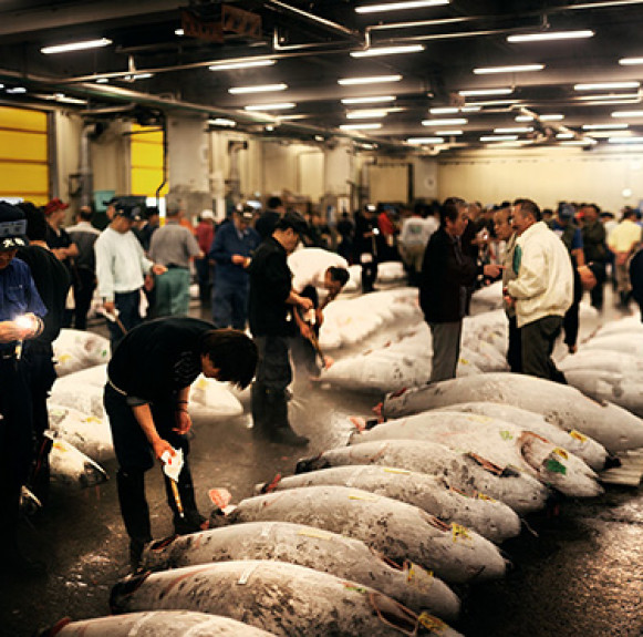 Chợ cá Tsukiji – địa chỉ ẩm thực cho người ‘sành ăn’ ở Tokyo