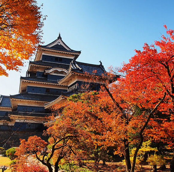  Cẩm nang du lịch Nhật Bản mùa thu ngắm lá phong rực rỡ
