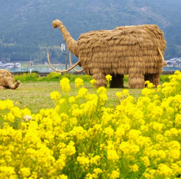 Những ‘quái vật’ khổng lồ bằng rơm ở Nhật Bản