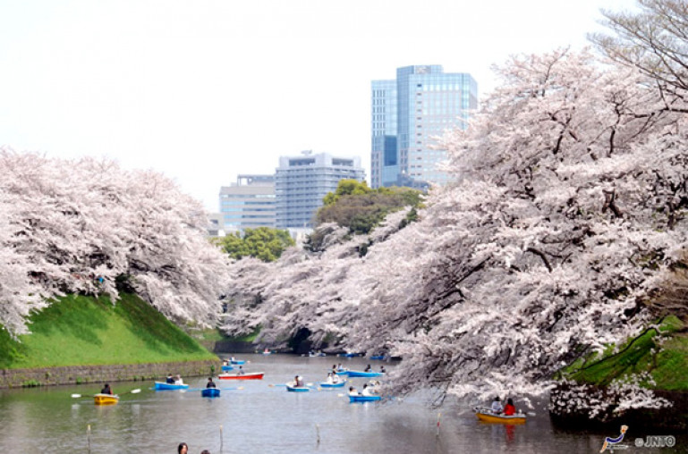 Tokyo – mùa nào cũng đẹp