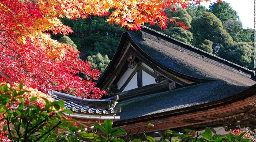 Nằm trên dãy Suzuka, Saimyoji là một trong ba ngôi đền Phật giáo Tendai ở phía đông Shiga. Đền Saimyoji nổi tiếng với tán lá màu đỏ và cam bao quanh khi mùa thu đến và sắc hồng của hoa anh đào mỗi độ xuân về.