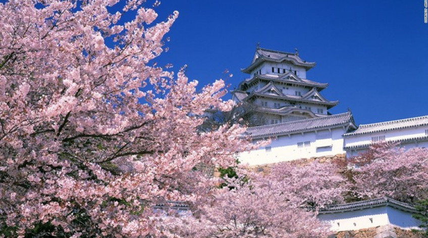 Thường được gọi là “lâu đài diệc trắng” do nước sơn màu trắng và kết cấu trông giống như một con chim đang cất cánh, Himeji gồm có 83 tòa nhà. Lâu đài được xây dựng từ thế kỷ 17 này có hệ thống phòng thủ kiên cố và từng xuất hiện trong nhiều bộ phim nổi tiếng của Nhật và Hollywood