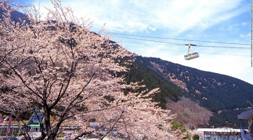 Tuyến cáp treo này có thể đưa 101 hành khách lên đỉnh núi Tsurumi ở độ cao 1.375 m trong 10 phút. Vào mùa xuân, từ trên đỉnh núi, du khách có thể chiêm ngưỡng khung cảnh lộng lẫy khi hơn 2.000 cây anh đào nở hoa.