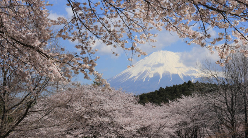 Núi Phú Sĩ trải dài trên địa phận tỉnh Shizuoka và tỉnh Yamanashi, ở phía Tây Nam Tokyo.